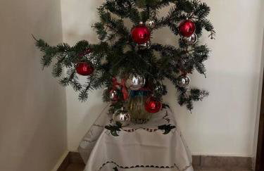 Ανάμεσα στα Έλατα - Foto 30