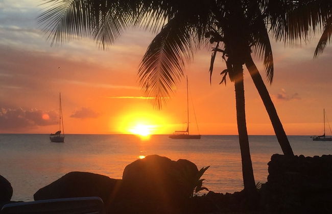 Hideaway Apartments Grenada - Foto 51