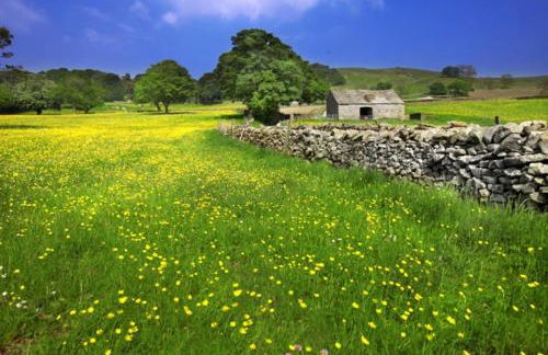 The Stables - Foto 24