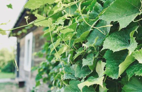 Bliska Wioska- Dom - Foto 3