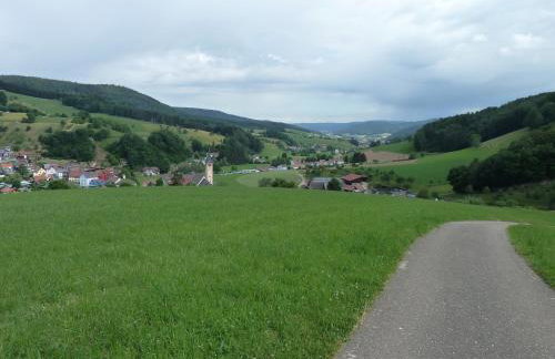Ferienwohnung am Wald Dörlinbach Parkplatz Überdachte Terasse Garten - Photo 18