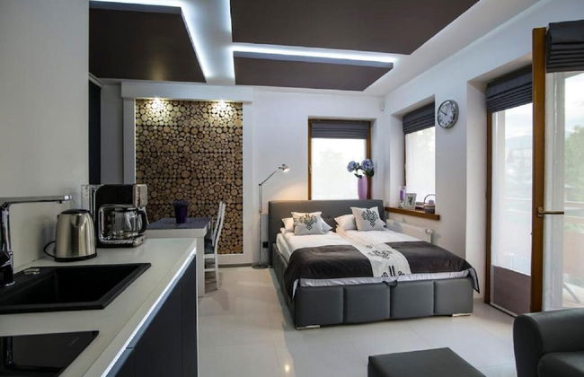 Apart-Center Zakopianskie Tarasy Spa - Photo 60