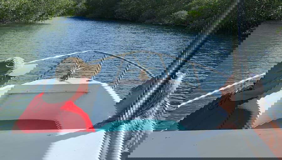 Durante la navigazione