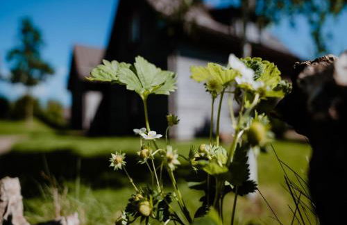 Semi-detached Houses, Turf House - Foto 58