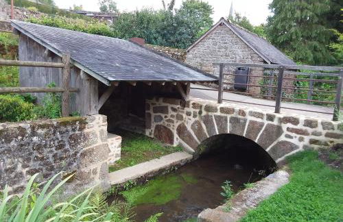 L'Orchidée - Photo 8