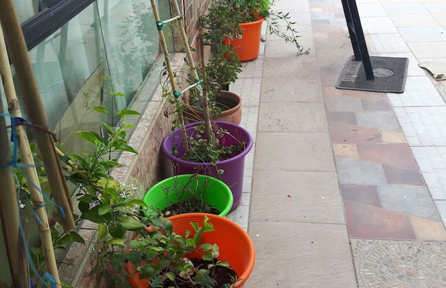 Los Alamos Apartment - Foto 37