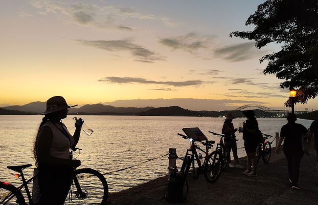 Oddity Studio By Paradox - Foto 40