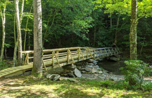 MsBeeHavin' - Powder Horn Mountain - Foto 46