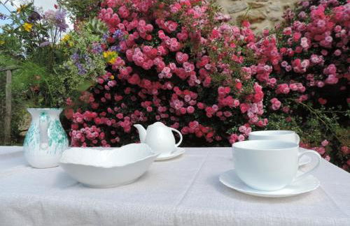 Castellare - Foto 66