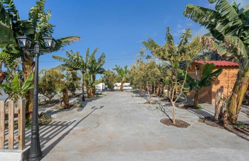 Finca Oasis Samuel - Foto 37