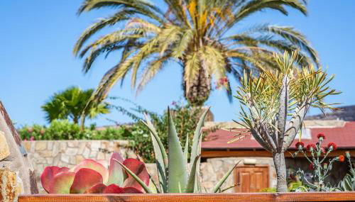 GranTauro Casa - Foto 3, Garden