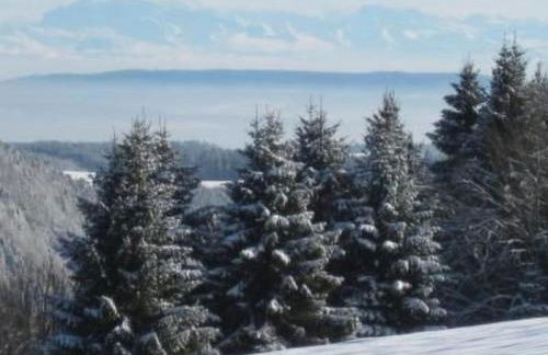 Apartment Wohnung Fübüüni by Interhome - Foto 35