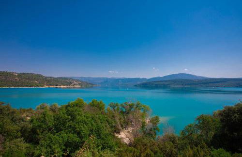 Salamandre - Foto 19