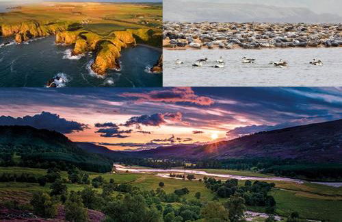 Bimini Aberdeen - Foto 44