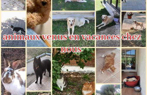 Gîte Ma Vie Là 3 étoiles, jacuzzi, animaux acceptés - Foto 58