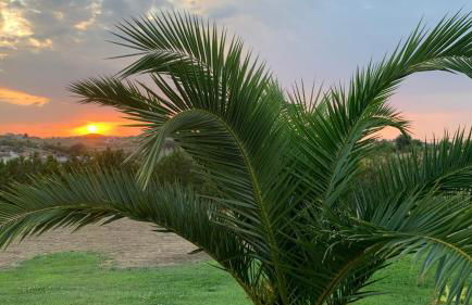 Quinta Pedro e Inês - Foto 9