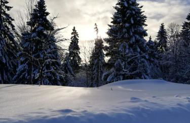 Le Chalet des Pas Sages - Foto 21