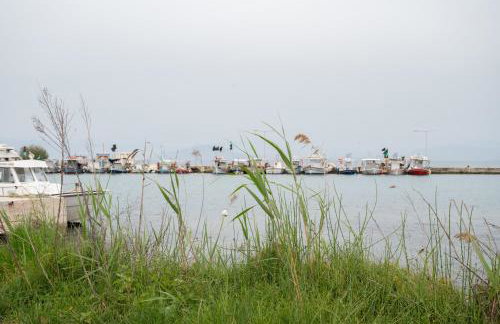 RIRIKA homes - Photo 65