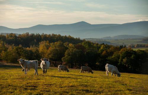 Drewniane domki z prywatnym jacuzzi i widokiem na Góry - Klimatyczny Kompleks w Górach Izerskich #Widogruszka - Photo 2