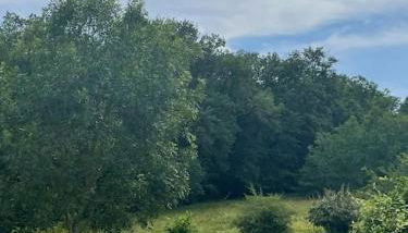 Logement entier de charme, gite équestre GERS Flamarens - Photo 5, Garden