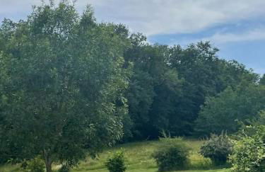 Logement entier de charme, gite équestre GERS Flamarens - Photo 5