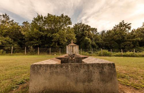 Podere San Niccola - Foto 15