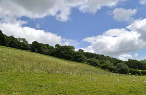 Upper Ffinnant - Photo 19