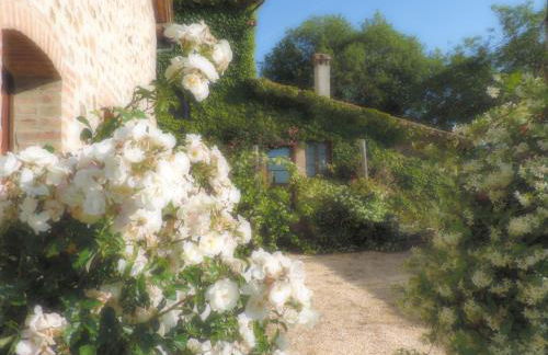 Castellare - Foto 79