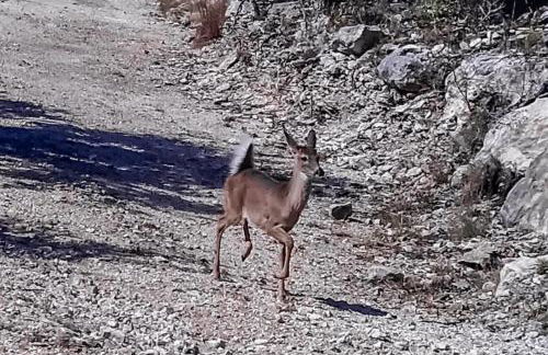 Rock of Ages Cabin at Amazing Grace Canyon - Foto 5