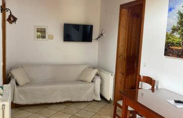 Green Studio - Foto 8