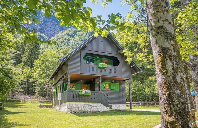 Alpine Chalet Metka at Lake Bohinj - Foto 20