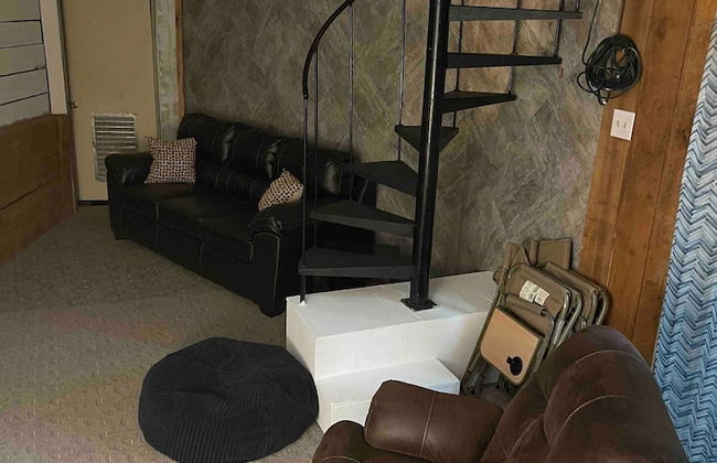 Treetops in Town - Foto 4