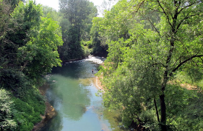 3 bedroom House in Carcès with private pool and garden - Photo 29