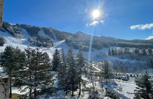 Cosy studio 25 m2 orienté sud entièrement rénové - Foto 17