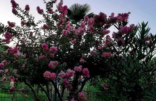 Apartment Rubin - Foto 14