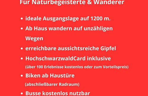 FeWo Schwarzwaldschick Feldberg I Direkt an der Piste I Whirlwanne I Tiefgarage I Skipass vergünstigt - Foto 72