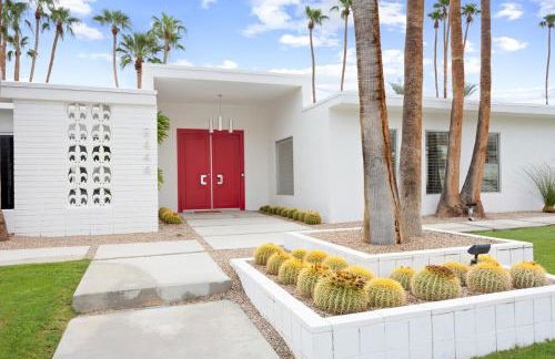 Pink Paloma - Foto 55