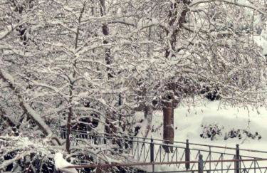Βίλα Αρμονία Ορεινή Κορινθία - Foto 45