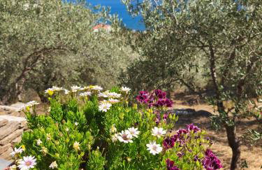 Sea view Goldins house - Foto 6