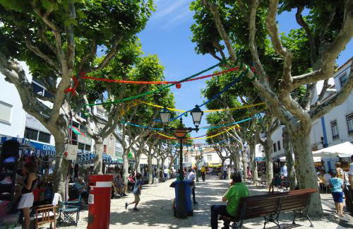 Ericeira Vibes - Foto 43