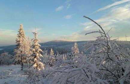 Ferienwohnung An der alten Stadtmauer - Foto 36
