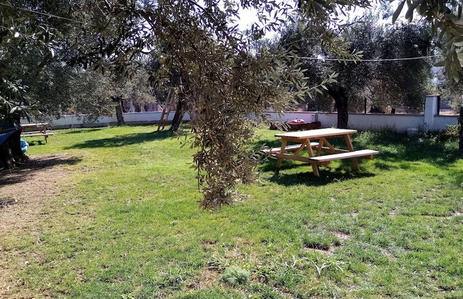 Yazduf Family Homes - Foto 19