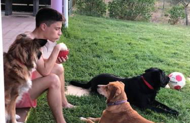 Monte Quinta Verde - Foto 36