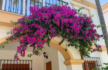 EL PATIO - apartment LA LUBICA - Foto 11