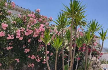 Vivienda Rural Las Bartolas - Foto 9