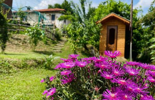 Cascina Il Girasole Rosso - Foto 6