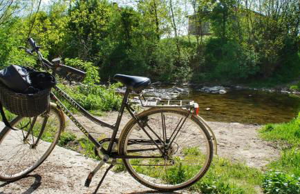 Agriturismo Casa Agricola Rossi Appartamenti in Casentino - Foto 59