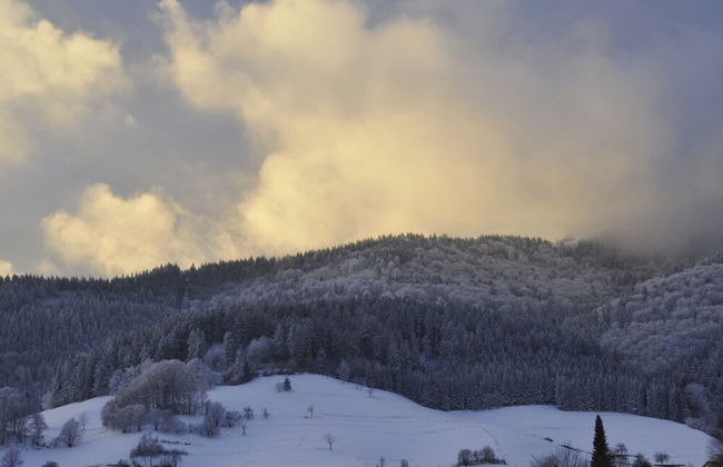 Apartment in Malsburg With Garden - Foto 29