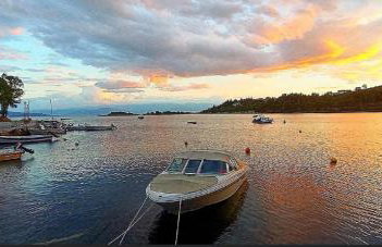 Alexander's - Foto 31