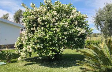 Villa Leone - Photo 27